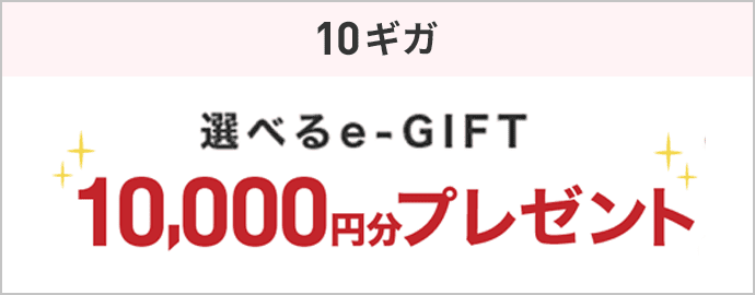 10ギガ 選べるe-GIFT　10,000円分プレゼント