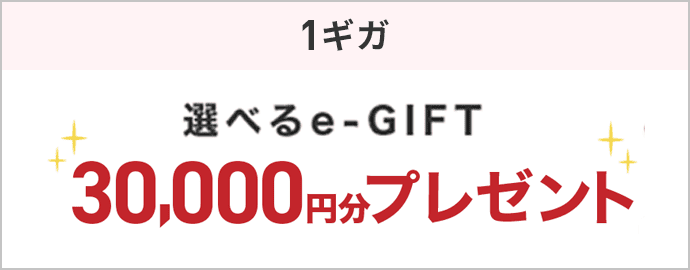 1ギガ 選べるe-GIFT　30,000円分プレゼント