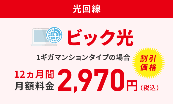 ビック光 マンションタイプの場合 12ヵ月間 月額料金2,970円